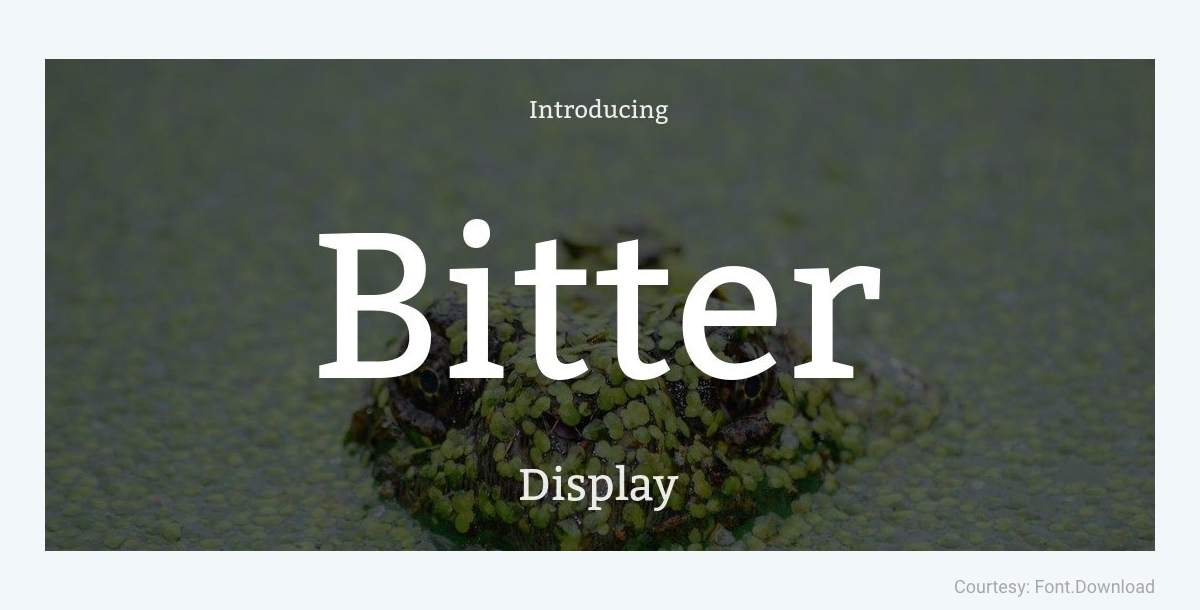 Free Minimalist Font Bitter