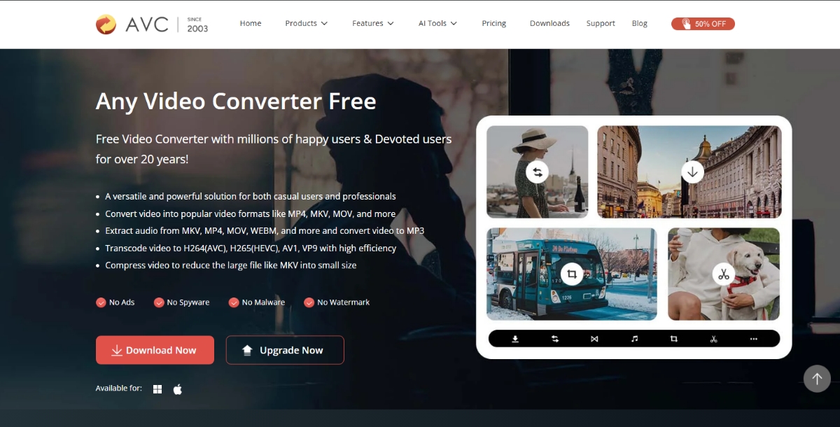 Any Video Converter
