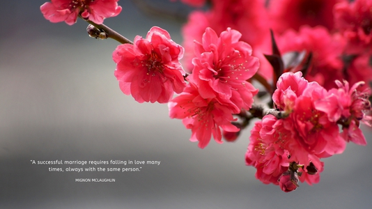 Flower design by Mika Tanaka