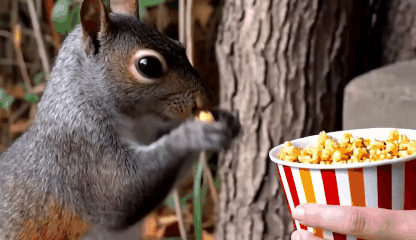 AI GIF Generator Free