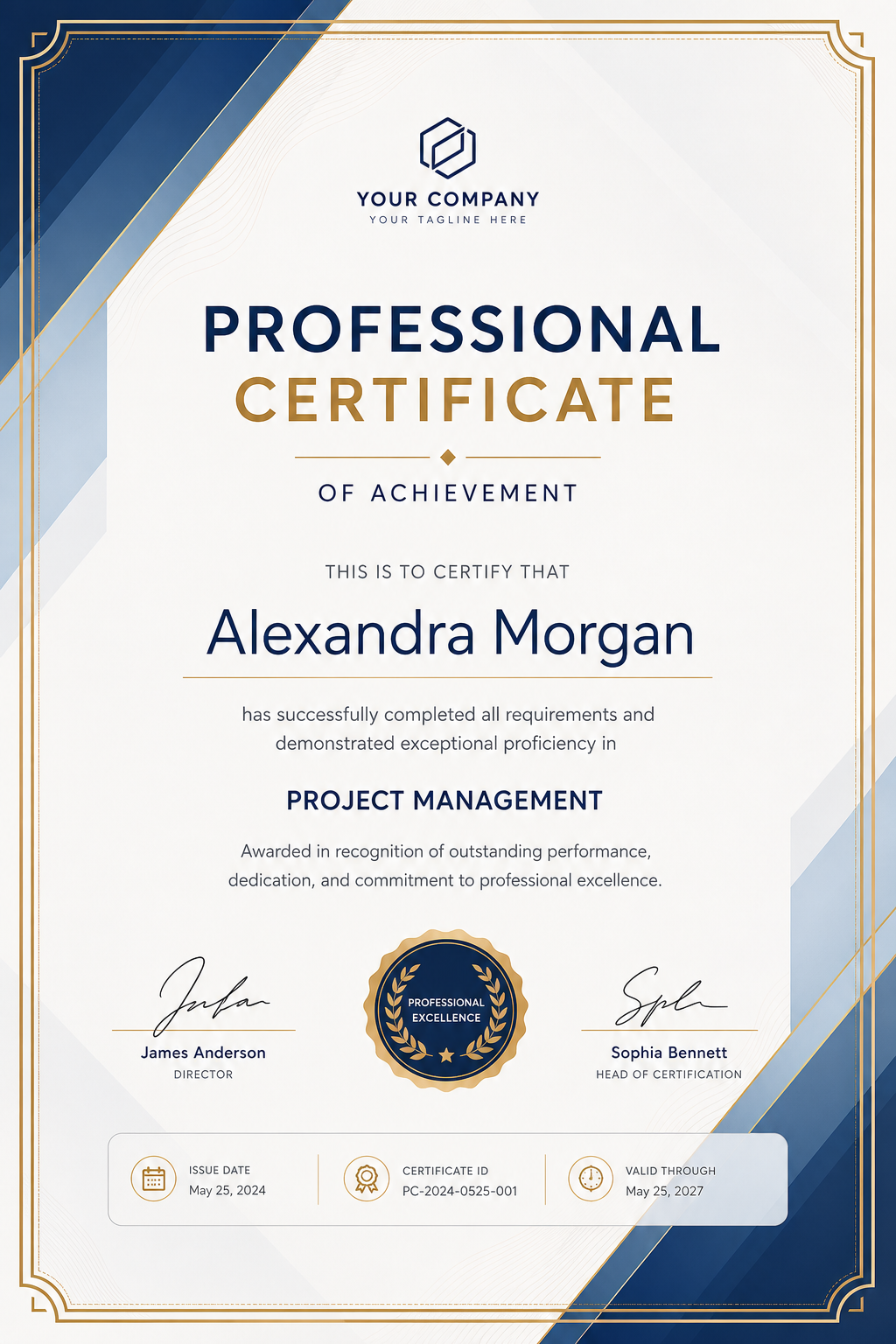 Professional Certificate — modern style certificate, featuring corporate gradient, clean grid layout, professional palette