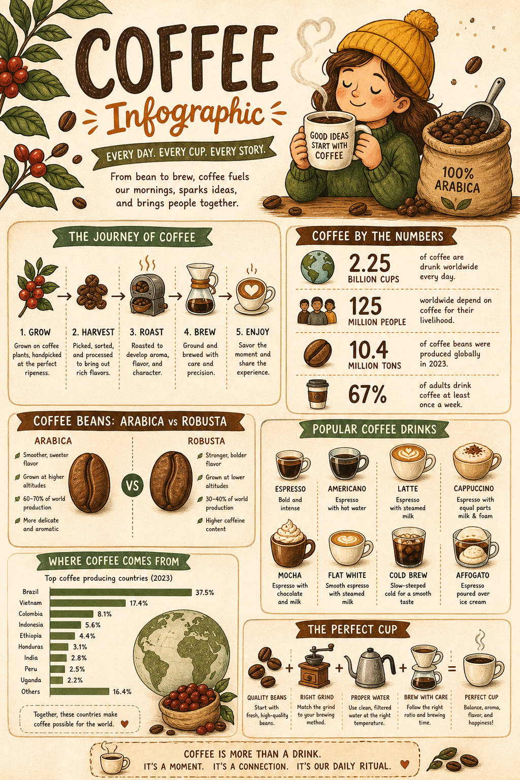Coffee Infographic — illustration style infographic