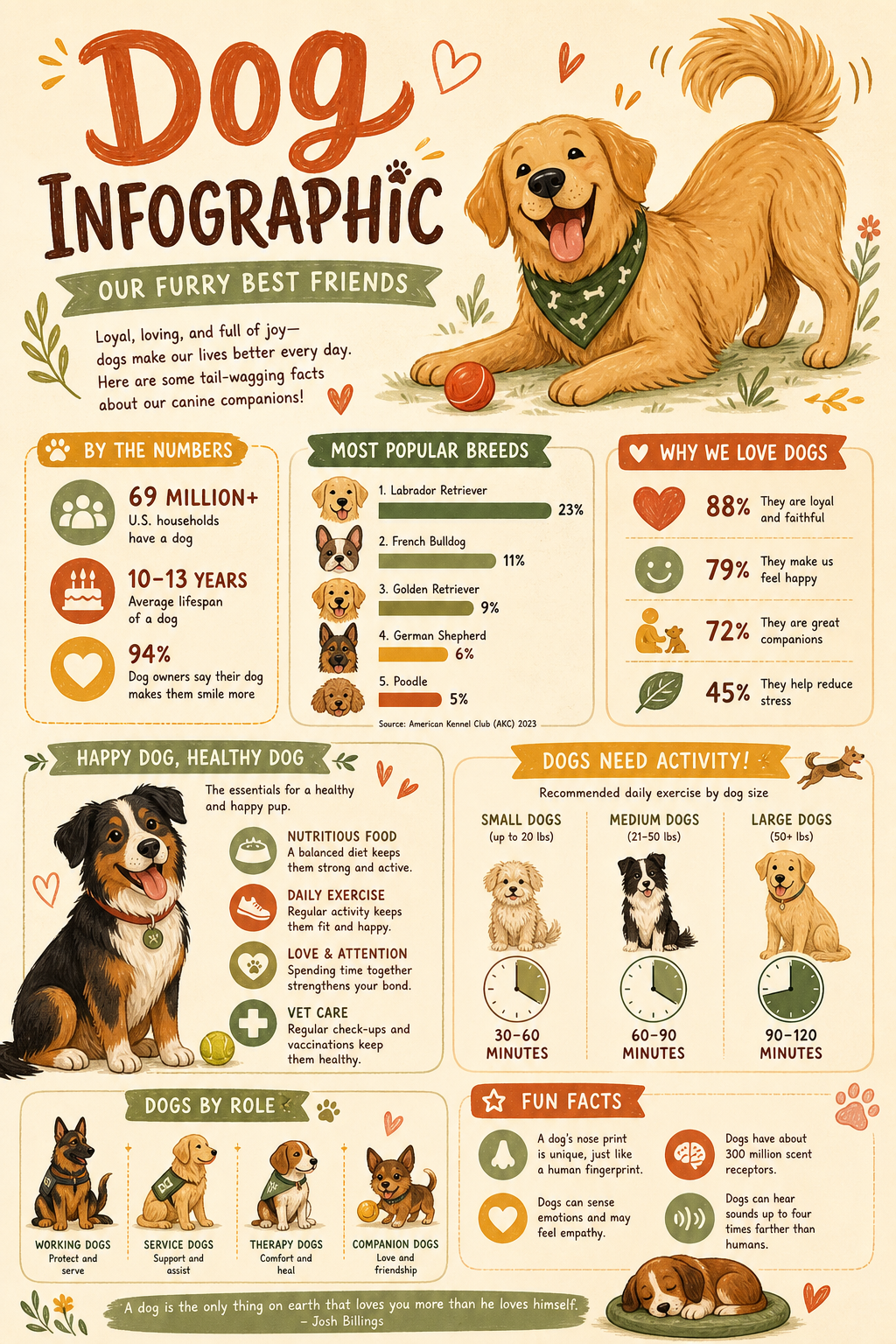 Dog Infographic — illustration style infographic, featuring friendly dog illustration, playful pose, warm palette