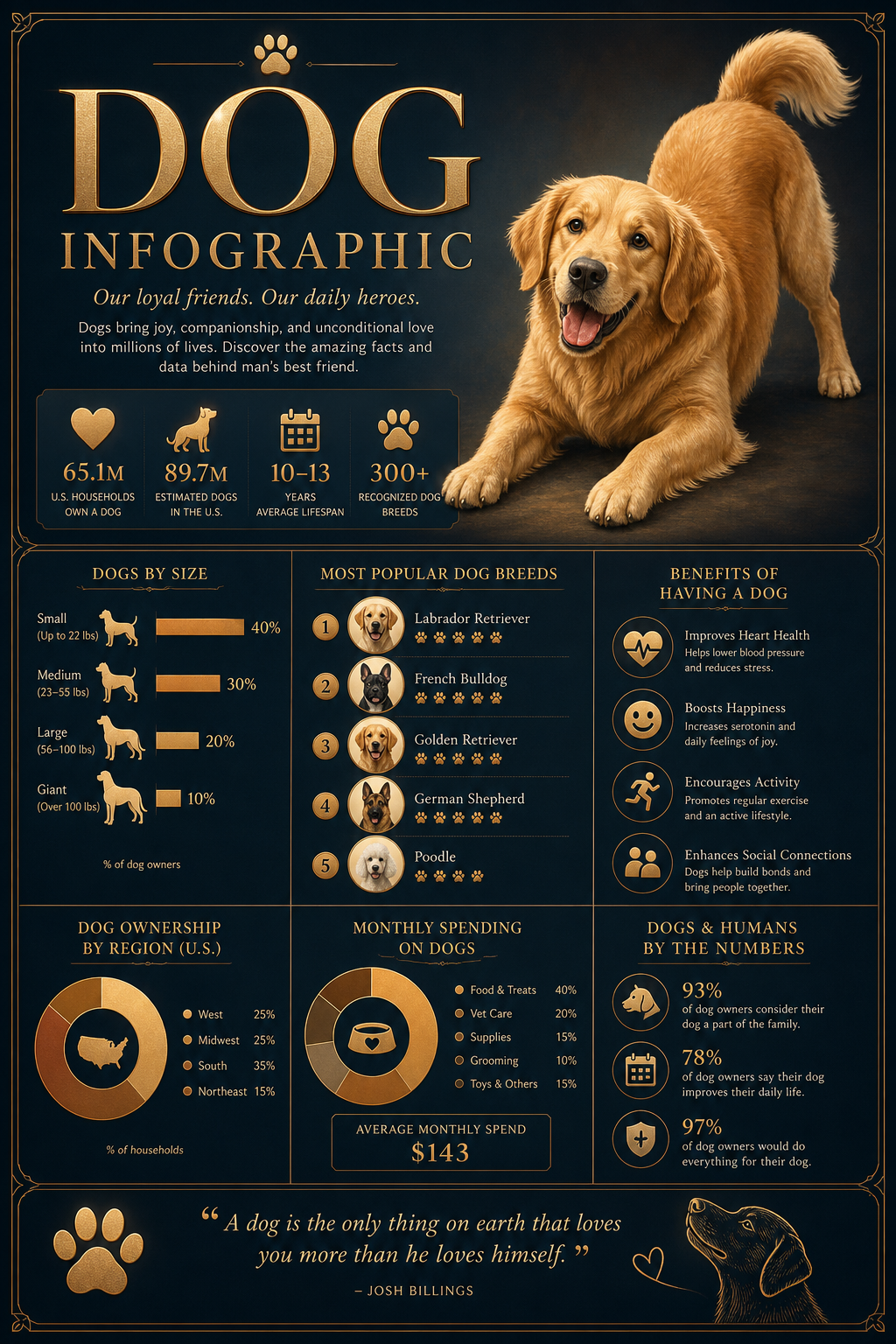 Dog Infographic — elegant style infographic, featuring friendly dog illustration, playful pose, warm palette