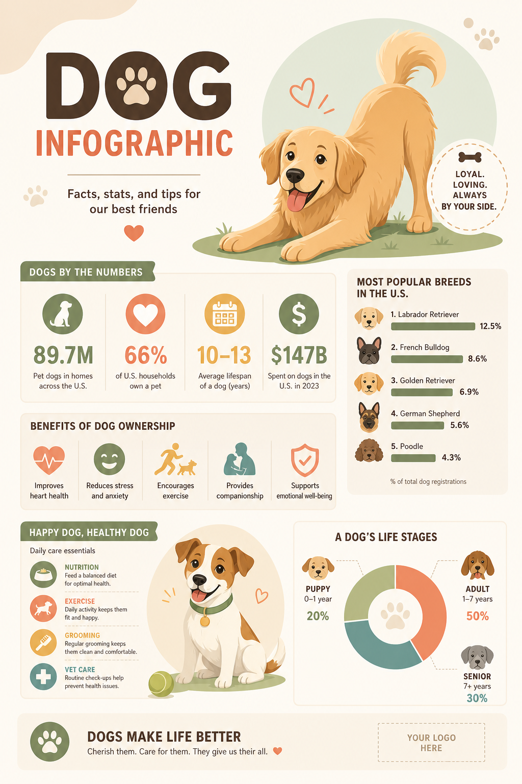 Dog Infographic — modern style infographic, featuring friendly dog illustration, playful pose, warm palette