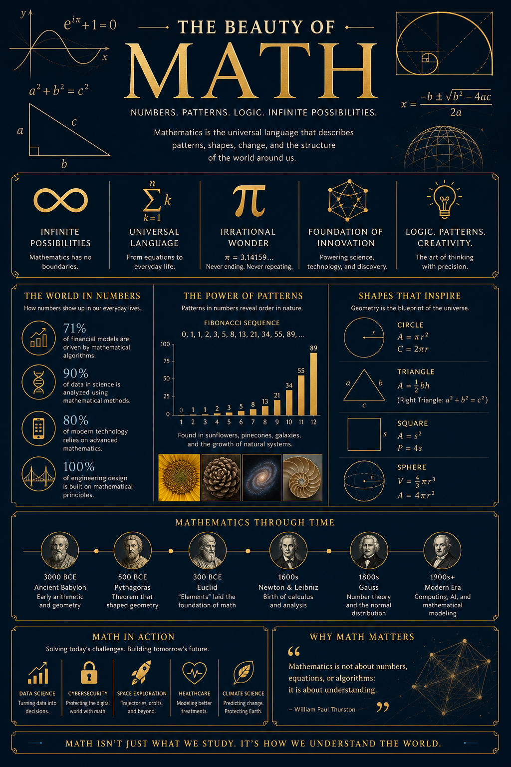 Math Infographic — elegant style infographic
